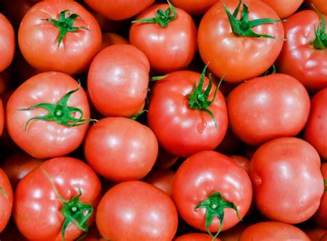 圖冊5dmz3p28:農產品的銷售方式有哪些,有什么新的銷售方式?