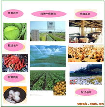 東莞市恒源膳食管理服務