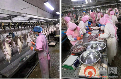 德州禹城市倫鎮四個強化保護“舌尖上的安全”