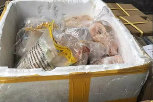 承接由海關監管的過期食品銷毀 杭州飲料銷毀 液體處理方式