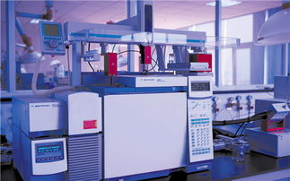 宗慶后 共享共擔(dān) 共創(chuàng)舌尖上的安全 新華金融