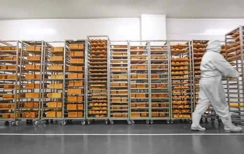 嚴(yán)格防疫 點(diǎn)對(duì)點(diǎn)配送,松江食品 餐飲企業(yè)多措并舉保供應(yīng)