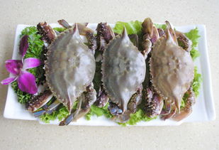 如一坊火鍋產品 產品圖片 加盟店怎么樣