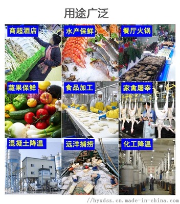 商用片冰機(jī) 500公斤片冰機(jī)