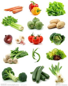 佛山蔬菜批發(fā)配送興和餐飲管理工廠食堂承包 快餐配送